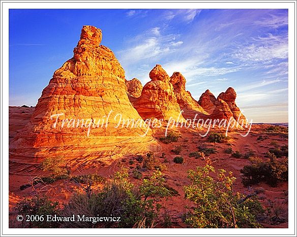 450344   South Coyote Buttes at first light 